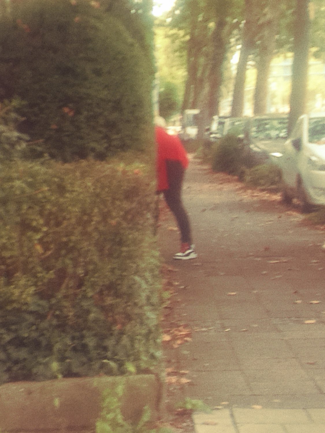 German asses and hoes #872PQgir