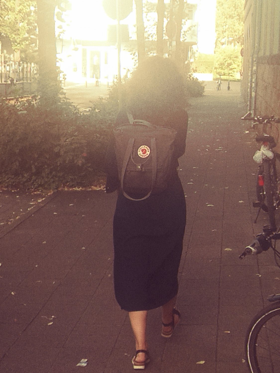 German asses and hoes #DRgrea9p