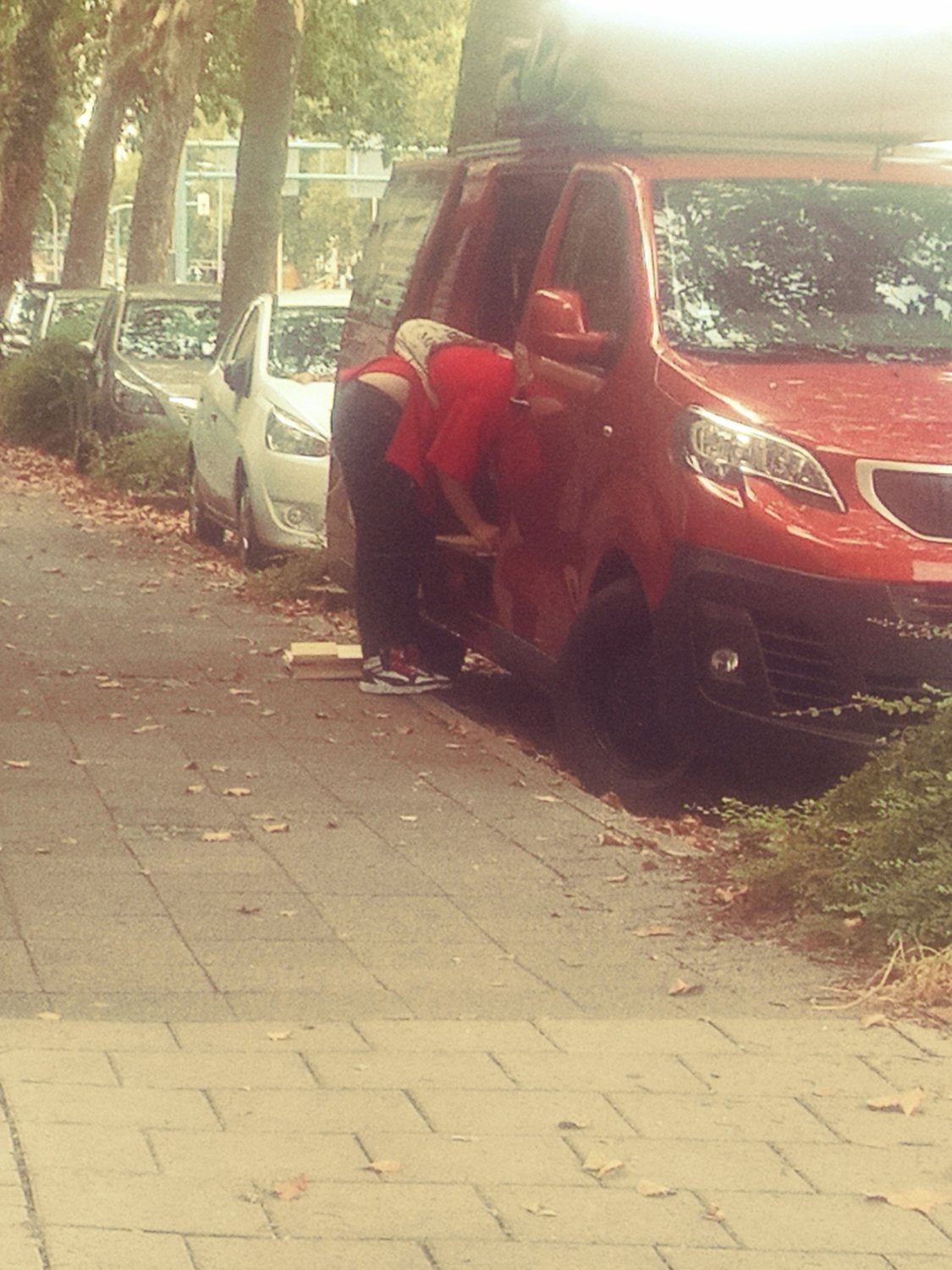 German asses and hoes #F7OAebk6