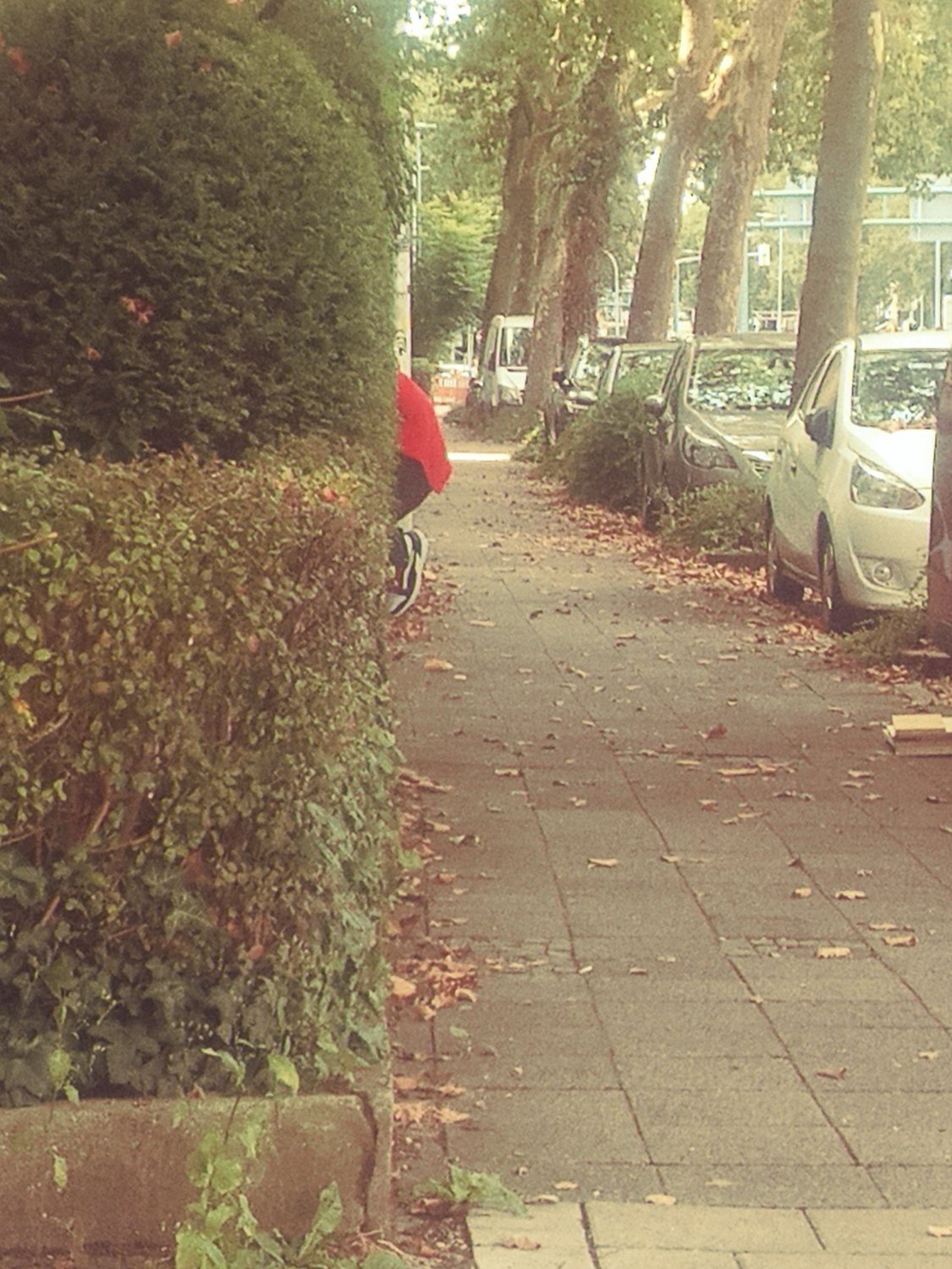 German asses and hoes #XNH0vr5Y