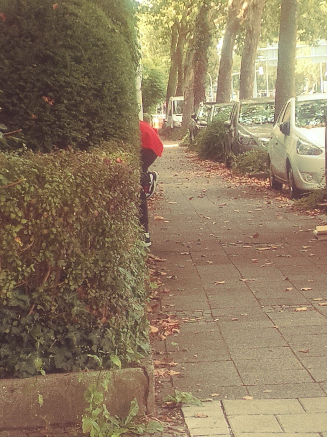 German asses and hoes #Xj7kiUMO