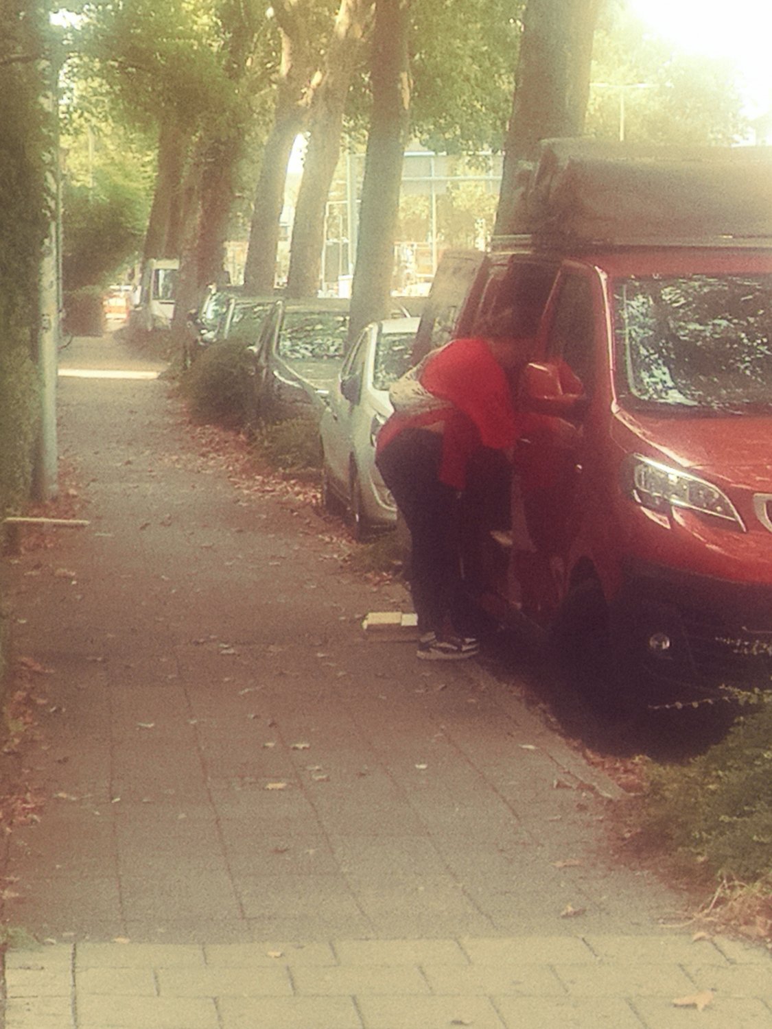 German asses and hoes #i6nVKDnS