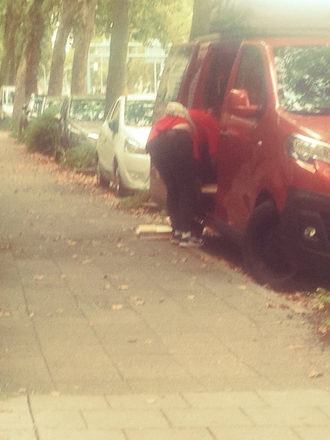 German asses and hoes #lujHbErZ